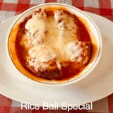 Rice Ball Special